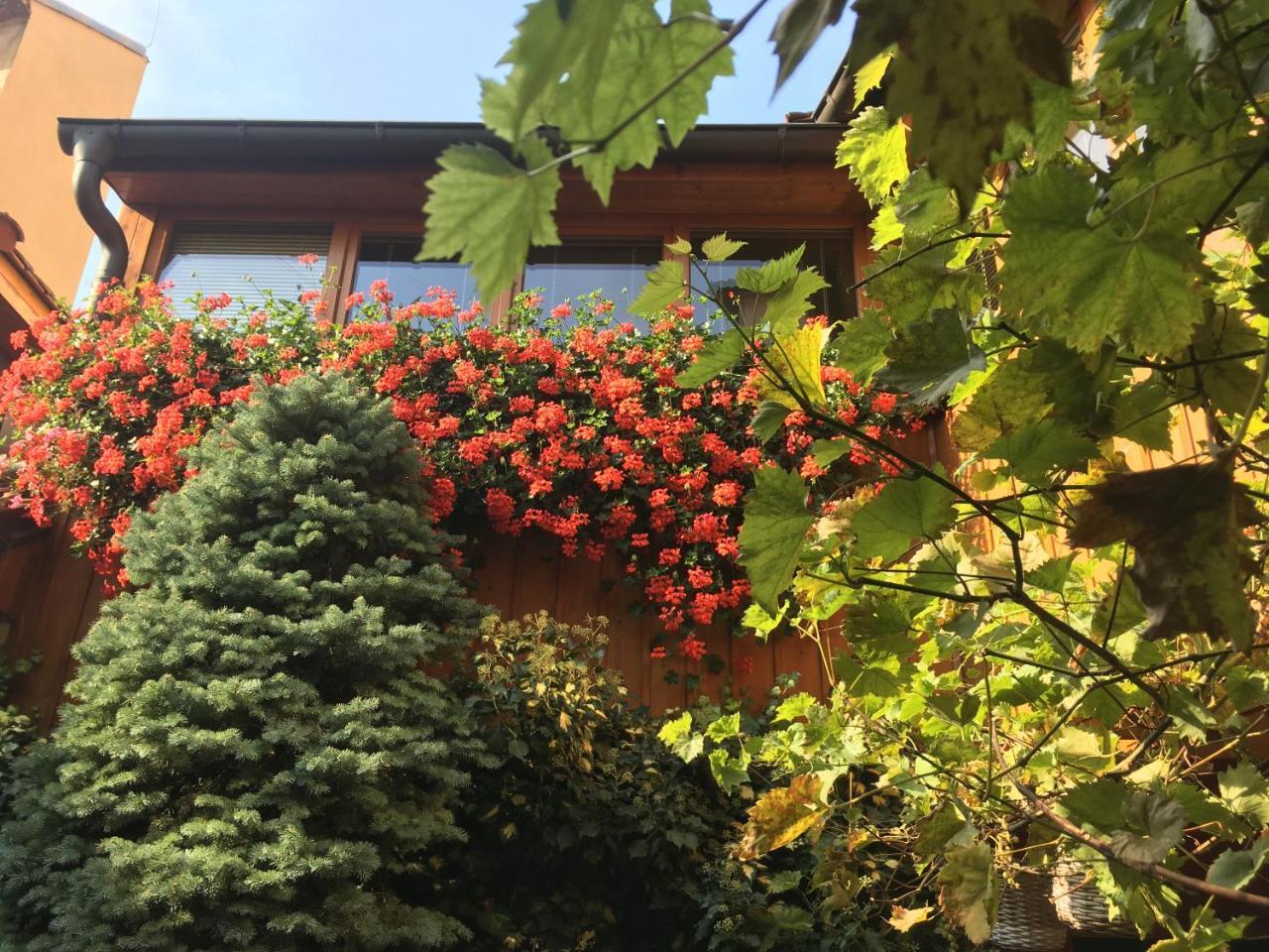 Penzion U Borovicku Litoměřice 외부 사진